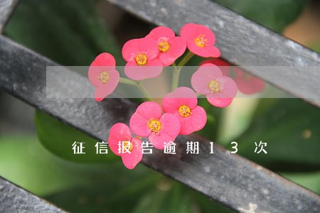 征信报告逾期13次 征信报告逾期13次