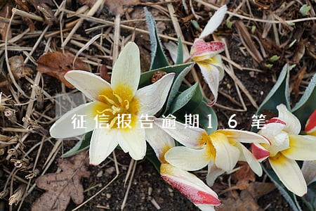 征信报告逾期16笔 征信报告逾期16笔