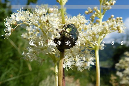 征信报告逾期1次400元 征信报告逾期1次400元