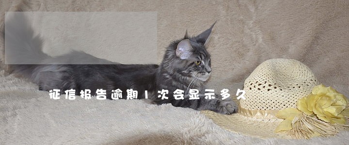 征信报告逾期1次会显示多久 征信报告逾期1次会显示多久