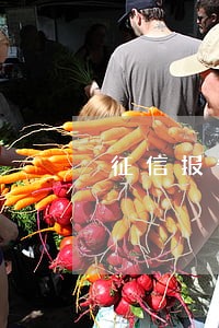 征信报告逾期1次对房贷 征信报告逾期1次对房贷