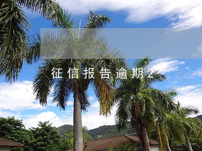 征信报告逾期2 征信报告逾期2