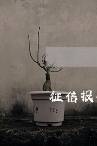 征信报告逾期24月意义 征信报告逾期24月意义