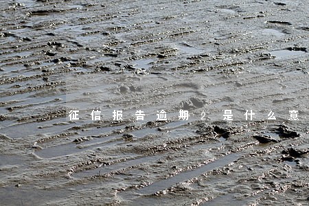 征信报告逾期2是什么意思 征信报告逾期2是什么意思