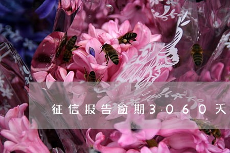 征信报告逾期3060天上征信吗 征信报告逾期3060天上征信吗