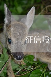 征信报告逾期33次能办房贷吗 征信报告逾期33次能办房贷吗