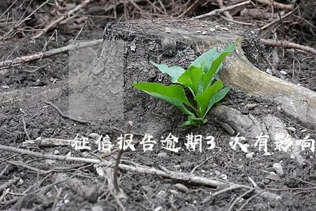 征信报告逾期3次有影响吗 征信报告逾期3次有影响吗