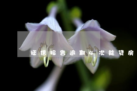 征信报告逾期4次能贷房贷吗 征信报告逾期4次能贷房贷吗