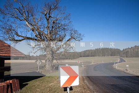 征信报告逾期56次 征信报告逾期56次
