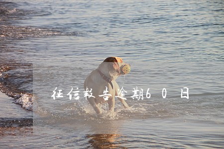 征信报告逾期60日 征信报告逾期60日