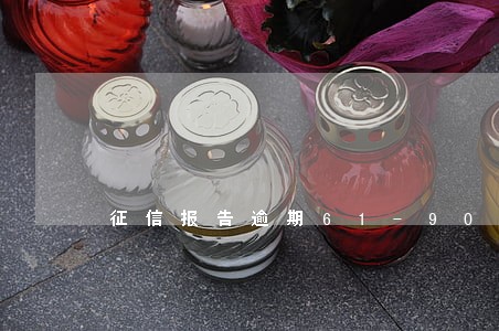 征信报告逾期61-90 征信报告逾期61-90