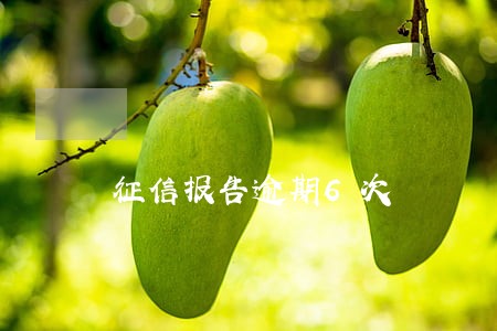 征信报告逾期6次 征信报告逾期6次