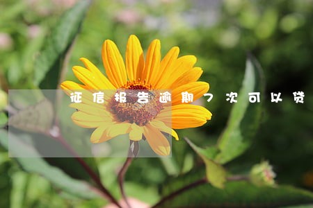 征信报告逾期7次可以贷款么 征信报告逾期7次可以贷款么