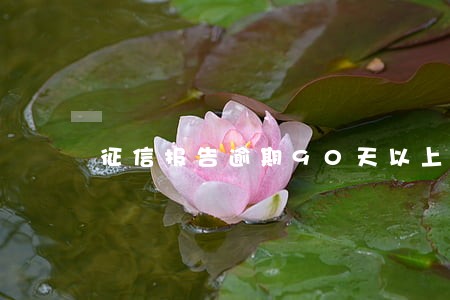 征信报告逾期90天以上2次 征信报告逾期90天以上2次