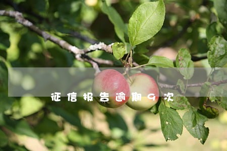 征信报告逾期9次 征信报告逾期9次