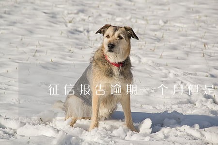 征信报告逾期一个月但是金额是0 征信报告逾期一个月但是金额是0