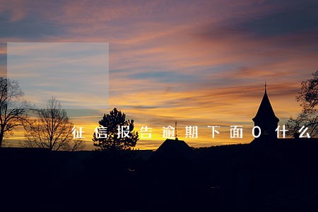 征信报告逾期下面0什么意思 征信报告逾期下面0什么意思