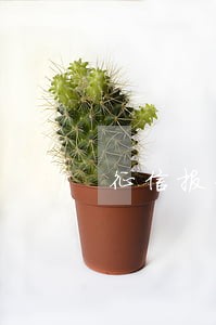 征信报告逾期图片2019 征信报告逾期图片2019