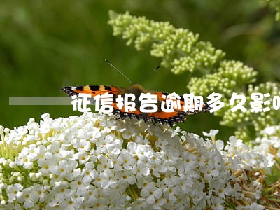 征信报告逾期多久影响信用卡