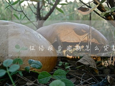 征信报告逾期怎么贷款 征信报告逾期怎么贷款