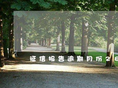 征信报告逾期月份28 征信报告逾期月份28
