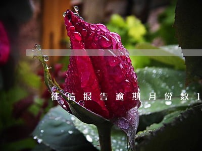 征信报告逾期月份数13 征信报告逾期月份数13