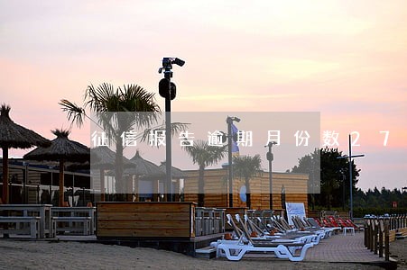 征信报告逾期月份数27