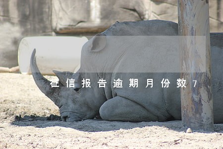 征信报告逾期月份数7 征信报告逾期月份数7