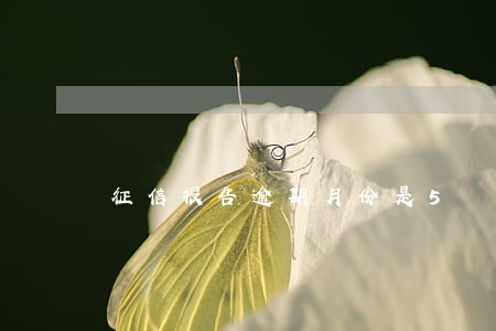征信报告逾期月份是5