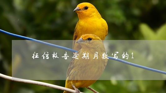 征信报告逾期月数写的1 征信报告逾期月数写的1