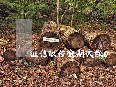 征信报告逾期次数0 征信报告逾期次数0