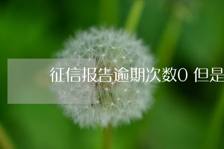 征信报告逾期次数0但是是红色的 征信报告逾期次数0但是是红色的