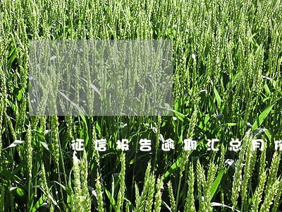 征信报告逾期汇总月份数17个 征信报告逾期汇总月份数17个