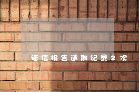 征信报告逾期记录2次