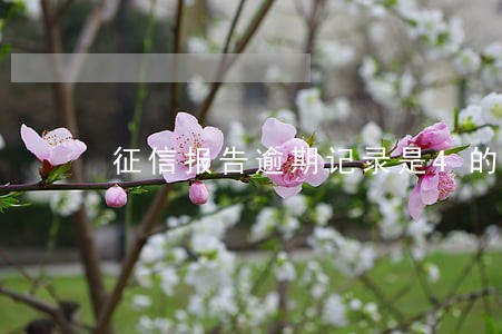 征信报告逾期记录是4的含义 征信报告逾期记录是4的含义