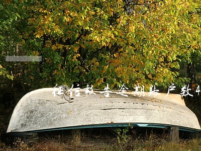 征信报告逾期账户数4