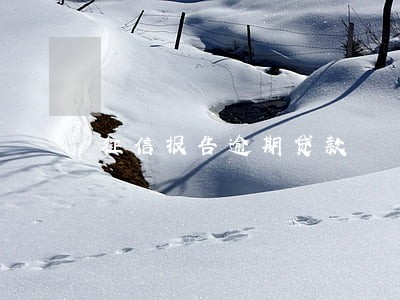 征信报告逾期贷款 征信报告逾期贷款