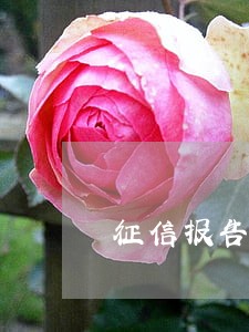 征信报告逾期超90天 征信报告逾期超90天