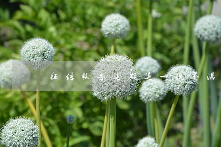 征信报告逾期过一次不满30天 征信报告逾期过一次不满30天