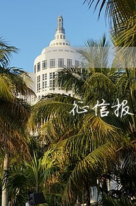 征信报告逾期金额2 征信报告逾期金额2