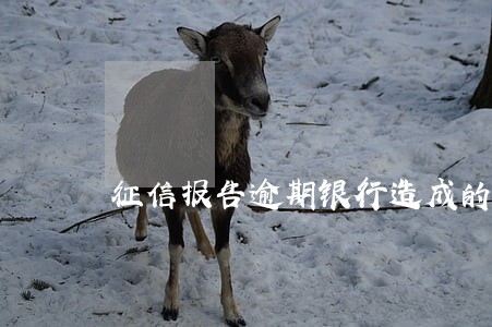 征信报告逾期银行造成的能删除吗 征信报告逾期银行造成的能删除吗