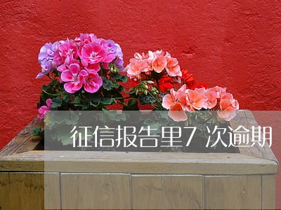 征信报告里7次逾期 征信报告里7次逾期