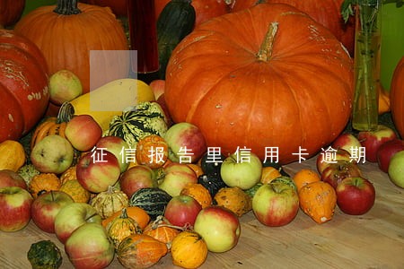 征信报告里信用卡逾期 征信报告里信用卡逾期