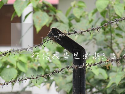 征信报告里逾期35个月能贷款