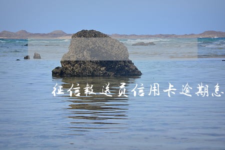 征信报送员信用卡逾期怎么销户 征信报送员信用卡逾期怎么销户