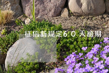 征信新规定60天逾期 征信新规定60天逾期