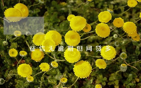 征信无逾期但网贷多 征信无逾期但网贷多