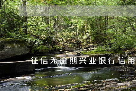 征信无逾期兴业银行信用卡秒拒 征信无逾期兴业银行信用卡秒拒
