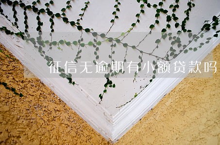 征信无逾期有小额贷款吗
