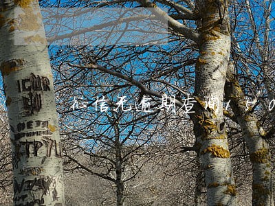 征信无逾期查询150次